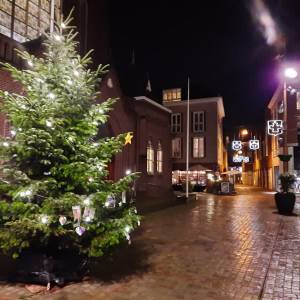 Gedeeld verdriet bij de gedachtenboom