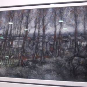 Fraaie tentoonstelling van schilderende huisarts Frans Alkemade (video)