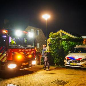 Grote zwerm wespen valt man aan in tuin in Boskant