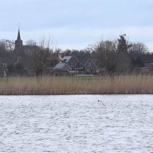Waterschap Aa en Maas trekt 700 miljoen uit voor klimaatmaatregelen