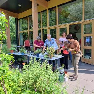 Overtollige tuinplanten vinden nieuw thuis tijdens de jaarlijkse Stekjesmarkt