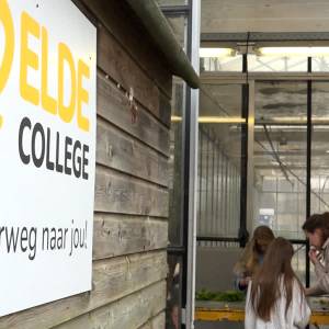 Amerikaanse verkiezingen op het Elde College (video)