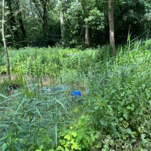 Vermoedelijke lozing van drugsafval in Schijndel