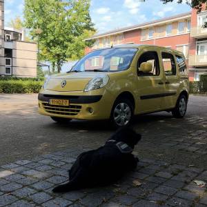 Na crowdfunding heeft Margo uit Veghel eindelijk haar rolstoelauto (video)