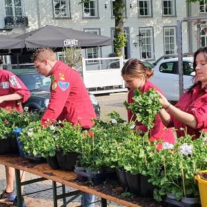 Centrum Sint-Oedenrode hangt weer vol geraniums