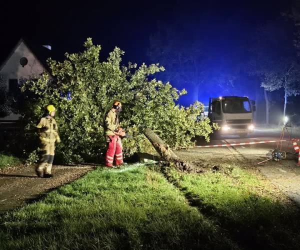 Auto ramt boom aan Boerdonkseweg Erp