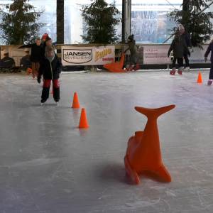 Kinderen in Beweging bij Veghel on Ice
