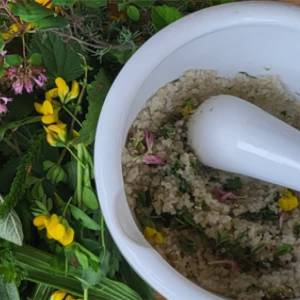 Zero Waste Festival: minder verspillen en minder afval