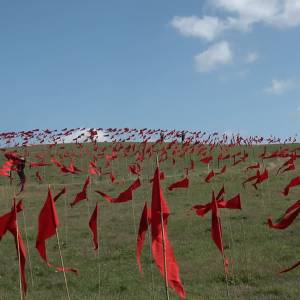 'Vlaggen voor de Vrede’ is bijzonder kunstwerk op Vlagheide (video)