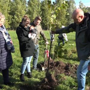 Windmolens in Wijboschbroek: ‘vloeken in de kerk’