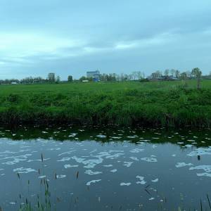 Fioretti-leerlingen duiken in thema ‘water’ (video)