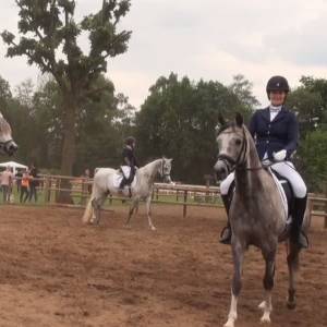 Arabian Horse Weekend bij Manege de Pijnhorst