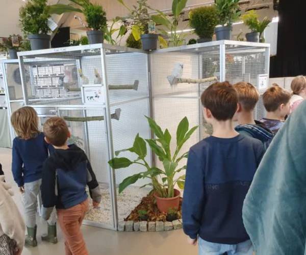 Vogels, Kunst door de Brievenbus en expositie in Erp