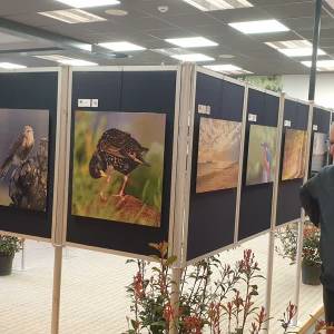 Foto-expositie De Natuur in Beeld