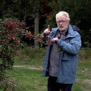 Ontdek met Anton Hellings het Wijboschbroek in herfstkleuren (video)