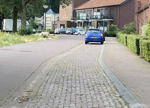 Raad van State houdt twijfels over perkeerproblemen Frisselsteinstraat