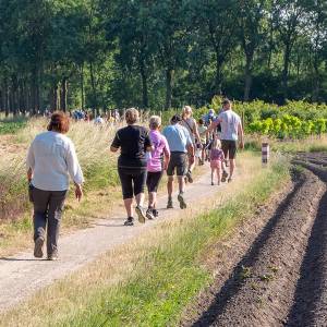 Avondwandel-4-daagse Sint-Oedenrode gaat weer van start