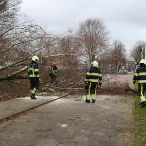 Brandweer Meierijstad heeft handen vol aan afgebroken takken