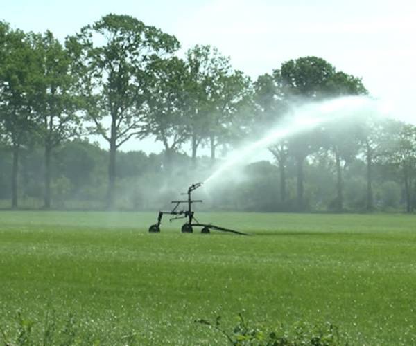 Waterschap: op weg naar recorddroogte van 1976