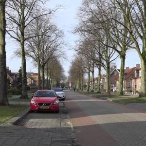 Meer dan 550 handtekeningen Petitie tegen kappen bomen Schijndel