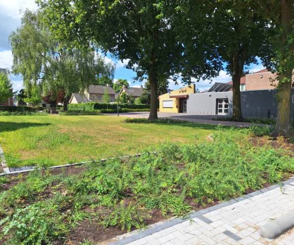 Dorpshuis d’n Brak in Mariaheide krijgt groene opfrisbeurt