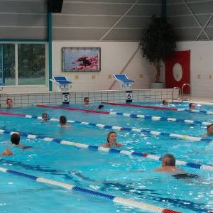 Schijndelse zwemvierdaagse trekt veel deelnemers