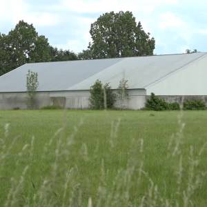 Groen licht voor bouw tijdelijke arbeiderswoningen Dorshout dichtbij (video)