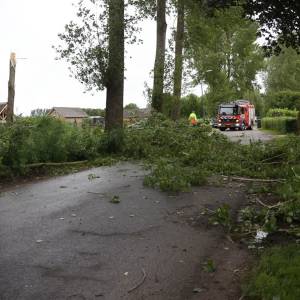 Schootsedijk Sint-Oedenrode dicht door afgebroken bomen