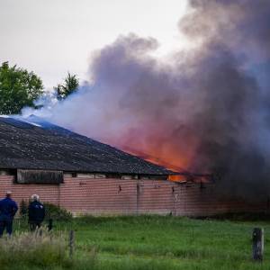 Grote schuurbrand in Nijnsel, oldtimers verwoest (video)