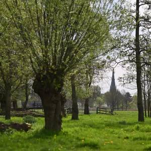 Madelief Foto Film AV-festival: Een ode aan de natuur