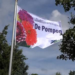 Open Tuinendag 2022: De Pompon, kleurrijke oase in Eerde (video)