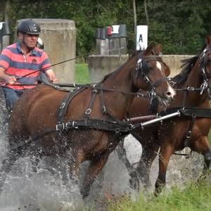 Schijndelse Ruiterdag: wie wordt komend weekend Schijndels Kampioen?