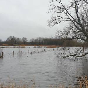 Het 'regent' mooie plaatjes in Sint-Oedenrode...