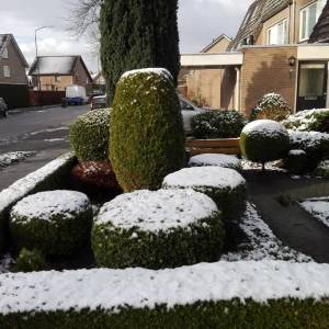 Eerste sneeuw van het jaar