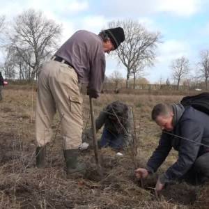 Aanplant grootste voedselbos van Europa in Schijndel