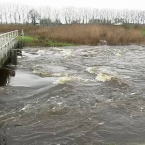 Waterbergingsgebied Ham-Havelt door Aa en Maas in gebruik genomen (video)