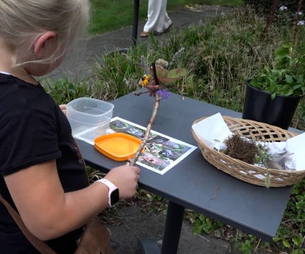 Bostrollen bij Zomer Kunstworkshop (video)