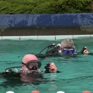 Zwemverenigingen geven demonstraties in buitenbad (video)