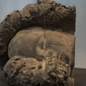 KEG Expo “Versteende kruinen, fossiele rook”