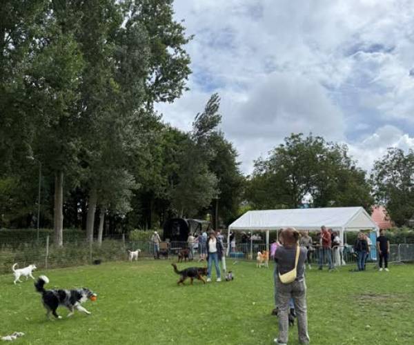 Dier en Plezier viert 5-jarig jubileum met feest voor hond én baas
