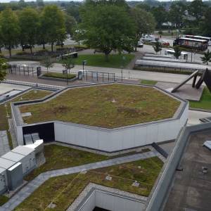 Gesubsidieerde groene daken Meierijstad zijn populair