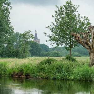 IVN Rooi organiseert wandeling door Moerkuilen en Dommelbeemden