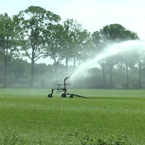 Waterschap: op weg naar recorddroogte van 1976