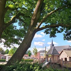 Natuurexcursie in Boerdonk op 18 juni