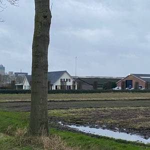 Bouw 100 woningen arbeidsmigranten Dorshout mag van voorzieningenrechter