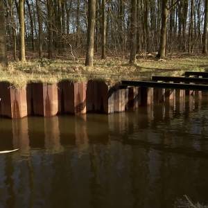 Vissen in de Dommel kampen met vies water na hevige regen (video)