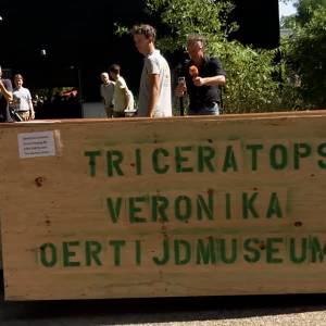 Majestueuze Triceratops-schedel 'Veronika' arriveert in het Oertijdmuseum (video)