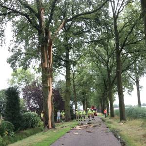 Bliksem klieft boom aan Lijnt in Erp