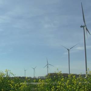 Gemeente Meierijstad wil meer windmolens bouwen