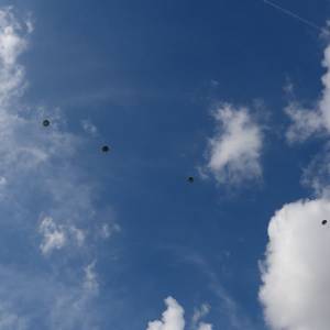 Parachutisten maken bij Eerde historische sprongen vanwege Operatie Market Garden (Video)